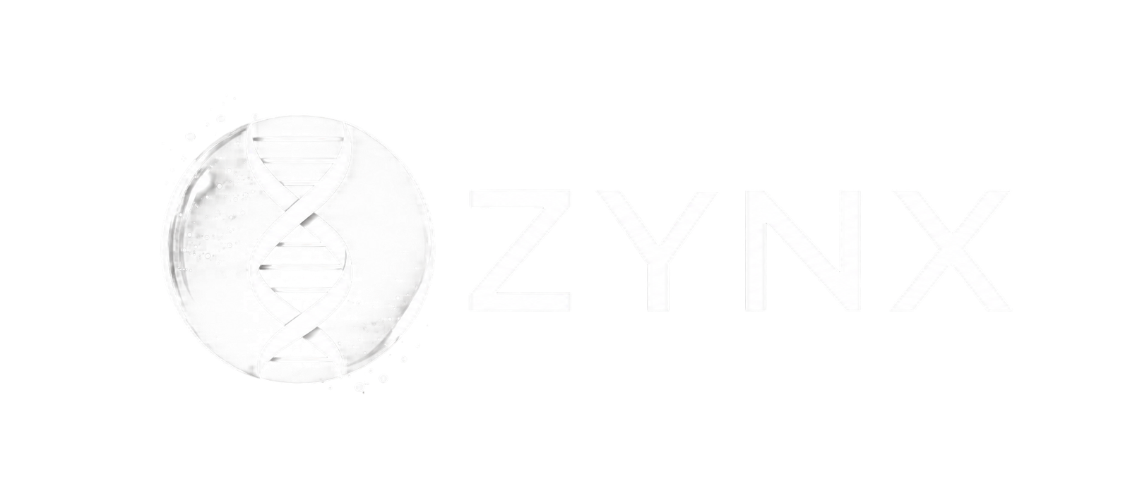 Zynx Labs